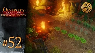 Talking puddles or unconscious witches? - Let's Play Divinity: Original Sin - Enhanced Edition #52