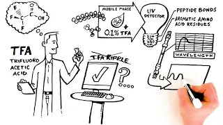 Reducing TFA Ripple With Thermo Scientific Vanquish Horizon UHPLC