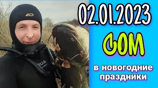 Подводная охота на сома. Река Чир. 02.01.2023.