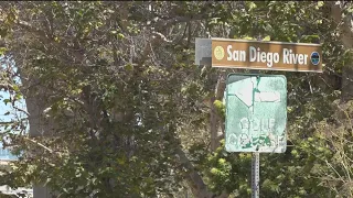 What's that strong stench coming from the San Diego River?