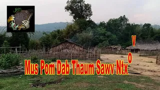 Mus Pom Dab Thaum Sawv Ntxov (Hmong Scary Story)