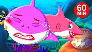 Baby Shark Got A Boo Boo + More Baby Shark Songs - FunForKidsTV Nursery Rhymes