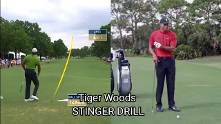 Tiger Woods Golf Swing | Stinger Drill