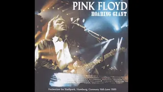 Pink Floyd - Yet Another Movie - Hamburg 16/06/1989 (Amity 025)