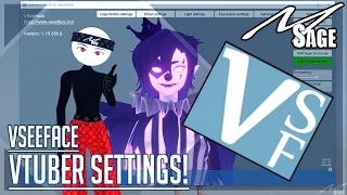 "BEST VTuber Settings?!" VSeeFace BASIC Settings Explained | MSage Tutorials