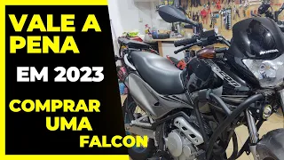 FALCON em 2023 VALE a PENA? Falcon Carburada