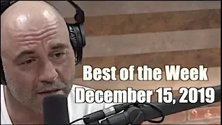 Best of the Week - December 15, 2019  - Joe Rogan Experience