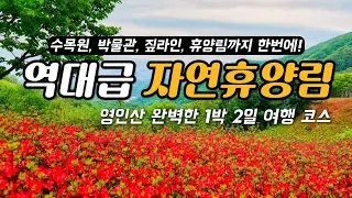 역대급 자연휴양림🌿 국내 1박2일 여행 코스 가볼만한곳 베스트 6 (아산 영인산 자연휴양림, 영인산 수목원, 산림박물관, 아산 맛집과 아산 카페 등)