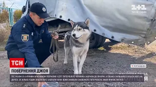 Новини України: поліція повернула додому собаку, який разом із власником потрапив у ДТП