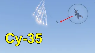 Russian Su-35 Targeted by Ukrainian Anti-Aircraft Artillery/Military Simulation