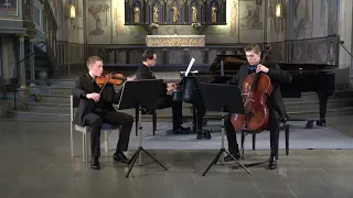 Axel & Eric Drougge plays Beethoven Piano Trio No 5 Op 70 No 1 Ghost with Dmitry Tyapkin 240424