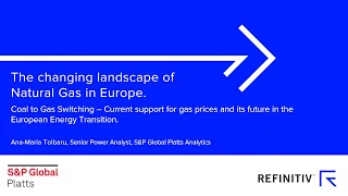 The changing landscape of Natural Gas in Europe