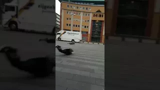 It's a little windy in the Netherlands