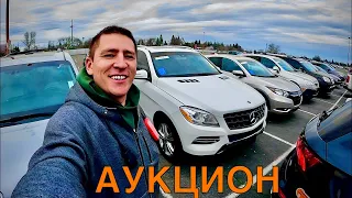 Аукцион целых машин! Цены наконец-то падают?