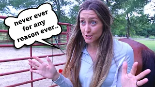 NEVER EVER Walk behind a horse 😂 (Funny Horse Videos)