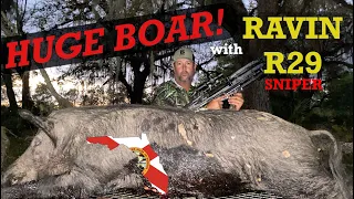GIANT Boar with a RAVIN R29 Sniper * Crazy Spot-and-Stalk 4K