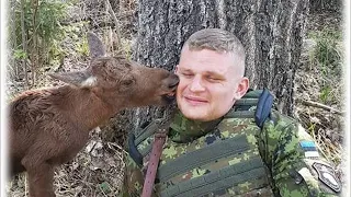 Лосеня підкрався до озброєного солдата. Те, що сталося далі просто неймовірно