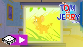 Tom és Jerry | Jerry, a tengerimalac | Cartoonito