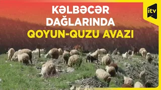 Kəlbəcər dağlarının qoynuna sığınan yaylaqlarda bir gün