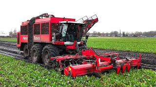 Bieten oogst 2023 in zeer natte omstandigheden Loonbedrijf Speelman en Feunekes.