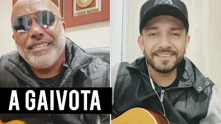 Segunda Voz pro Rick - A Gaivota | Léo Canhoto e Robertinho