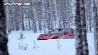 Markku Alen tests the FF on a snow-covered forest stage