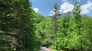 #природа #Абхазия