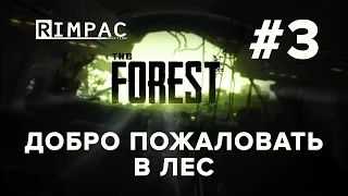 The Forest | Добро пожаловать в лес | [Let's Play] #3