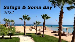 Safaga & Soma Bay 2022: Tobia Arba, Tobia Kebir, Diving, Snorkeling