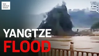 Flooding in Chongqing and Wuhan Uprooted Huge Trees |Yangtze River |Epoch News