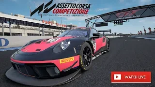 ЕДЕМ ЧАС НА ПОЛЬ-РИКАРЕ. Assetto Corsa Competizione.