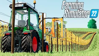 PODA DE UVA DOS GURI | Os Guri | Farming Simulator 22 - EP 67