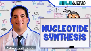 Metabolism | Nucleotide Synthesis | Purine & Pyrimidine Synthesis