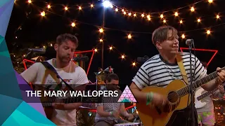 The Mary Wallopers - Frost Is All Over (Glastonbury 2023)