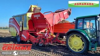 GRIMME SE75-30 i SE75-55- Jednorzędowe kombajny do zbioru ziemniaków. Single-row potato harvesters.