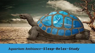 Aquarium Ambiance -Sleep-Relax- Study