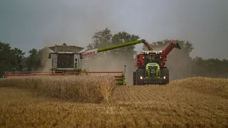 ||►WHEAT HARVEST | BÚZA ARATÁS 2019 || Hubertus Agráripari Bt.◄❘❘