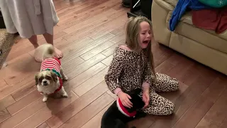 Megan’s Christmas puppy