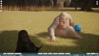 Planet zoo Western lowland gorilla troop with baby gorilla and Albino Gorilla