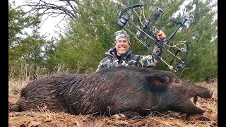 SOLO SPECTACULAR: 5 Hogs Down from 1 Bowhunter in 1 Hour! Self filmed.