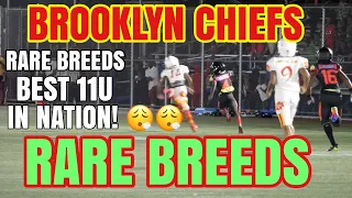 Rare Breeds Vs Brooklyn Chiefs (11U) Rare Breeds WIN 27-7!| Rare Breeds BEST 11U IN THE NATION! 🔥🔥