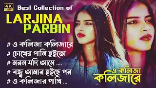 এই বছরে ভাইরাল হওয়া সব গান | Larjina Parbin | Bangla Sad Song | Bangla New Song 2024