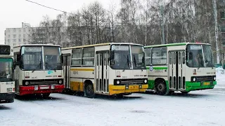 Автобусы "Икарус" в Москве: ушли с улиц в 2014-м, но остались в наших сердцах. 10 минут ностальгии.