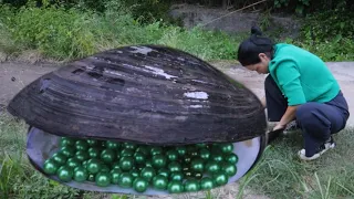 The black clam shell produces jade pearls worth 10000 yuan, and the process is very exciting