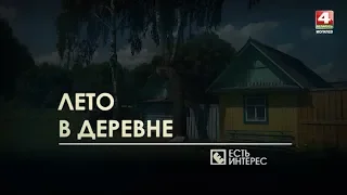 Есть интерес: Лето в деревне 12. 09. 2018 [БЕЛАРУСЬ 4| Могилев]