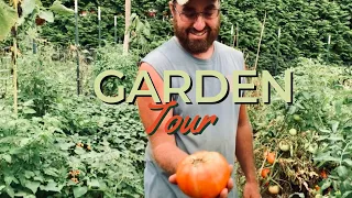 How We Are Growing a Years Worth of Food | August Garden Tour '23