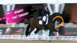 Woah! Check Out That Tongue Waving At The Crowd In The Grand Prix Dressage Freestyle Award Ceremony!