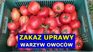 Czy będzie Zakaz Uprawy Warzyw i Owoców we Własnych Ogródkach Przydomowych? Zielony Ład Ślad węglowy