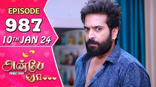 Anbe Vaa Serial | Episode 987 | 10th Jan 2024 | Virat | Shree Gopika | Saregama TV Shows Tamil