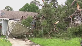 Houston weather: Woman finds home destroyed after tree splits it in half